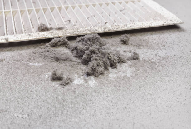 Best Local Air Duct Cleaning Services  in Tullahoma, TN