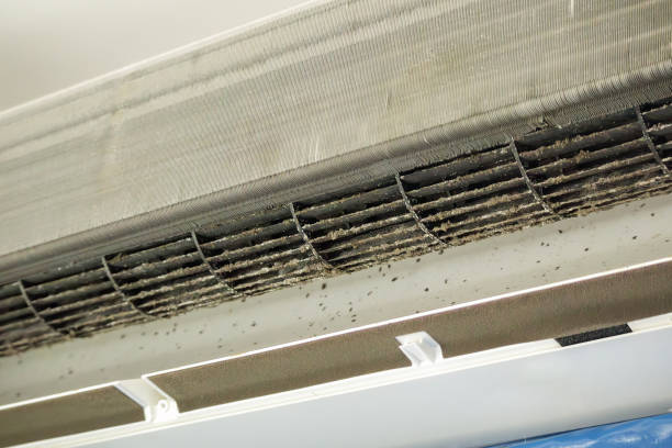 Best General Air Duct Cleaning  in Tullahoma, TN